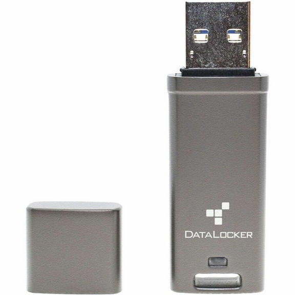 DataLocker DL GO 64GB (Usb 3.2 (gen 1) type a Usb 3.0 Usb 3.1) Flash Drive