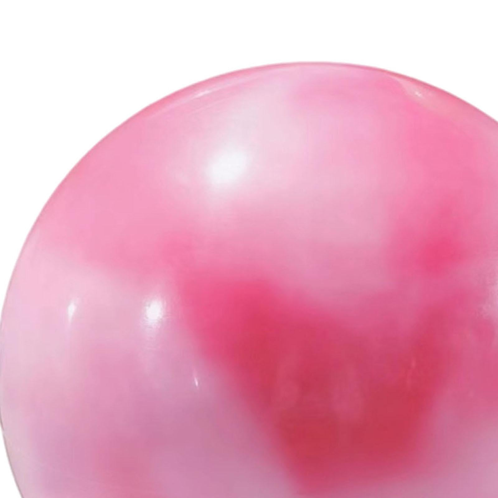 Fitness Ball Rhythmic Gymnastic Ball Performance Exercise Training PVC Material for Home Gym Adults