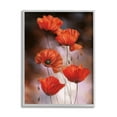 thumbnail image 2 of Stupell Industries Red Poppies Rising Vibrant Floral Blossoms Black Framed, 16 x 20, Design by Ziwei Li, 2 of 5