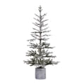 thumbnail image 4 of Haute Decor 5 Ft Pre-Lit Flocked Fir Potted Christmas Tree, 4 of 6