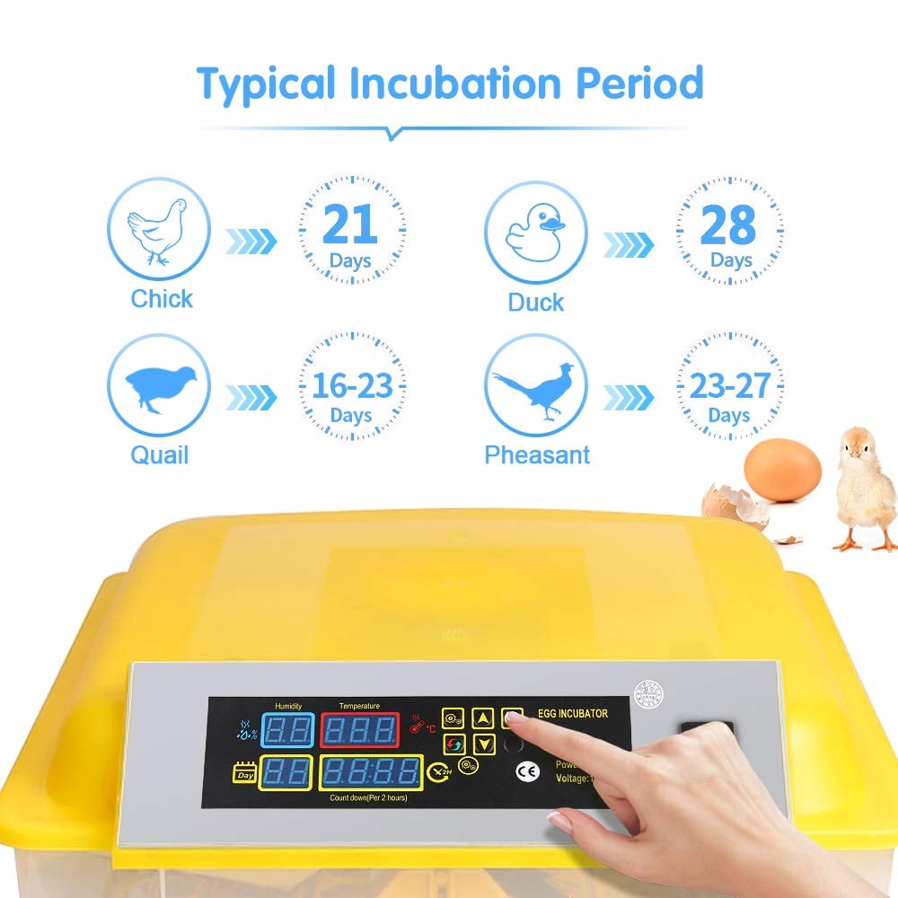 Private Jungle 48 Eggs Fully Automatic Digital Poultry Hatcher Machine Breeder with Temperature Control and Auto Turning for Hatching Chicken Duck Goose Quail Birds, Incubators