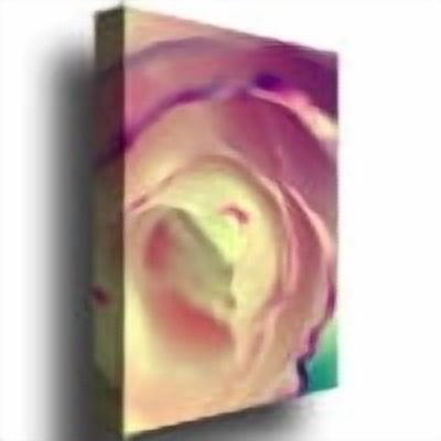 Trademark Fine Art "Flavors of Summer" Canvas Art by Beata Czyzowska Young