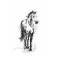 thumbnail image 2 of Harper, Ethan 17x24 White Modern Wood Framed Museum Art Print Titled - Dynamic Equestrian II, 2 of 4