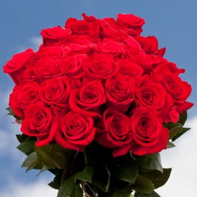 GlobalRose 50 Fresh Cut Birthday Red Roses - Long Stem Flowers For Delivery- Large Bloom