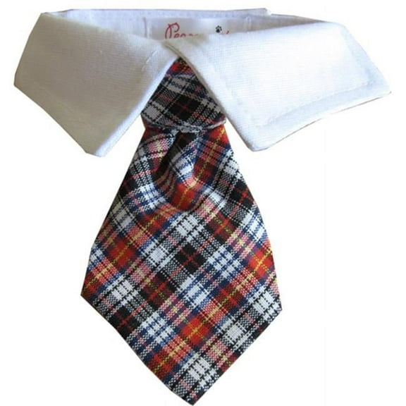 Pooch Outfitters PNSS-XS Nicholas Shirt Collar, Red - Extra Small