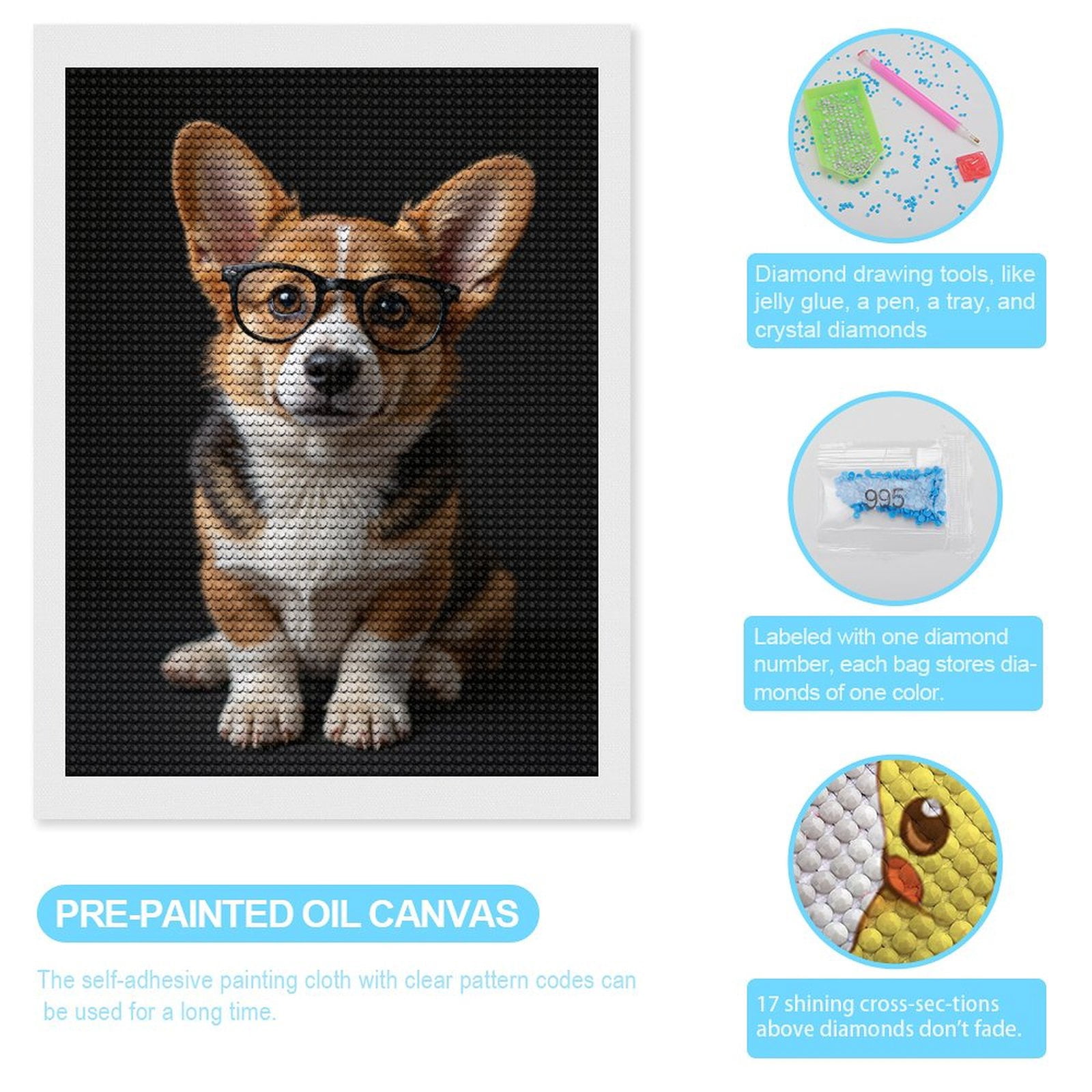 Diamond Art Kits for Adults, Dog Glasses Cute Corgi Portrait 5D Diamond Painting Kits for Adults Beginners, DIY Full Drill Diamond Painting, Gem Art and Crafts 12x16