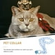 thumbnail image 4 of Collar para gatos, collar para mascotas con cascabel, collar decorativo para gatitos, collar ajustable para gatos, 4 of 7