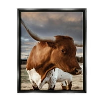 Stupell Industries Rural Farm Cattle Cloudy Ranch Sky Photograph Jet Black Floating Framed Canvas Print Wall Art, Design by Dakota Diener