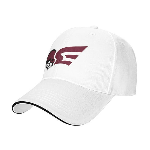 Erskine College Casual Sandwich Baseball Cap Adjustable For Men For Women