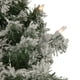 Northlight Floqué Victoria Pin Couronne de Noël Artificielle - 24 Pouces, Lumières Claires – image 3 sur 5