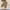 Khaki, variant on FAIOROI Toddler Pants 4-5T Beige, Balloon Style Kids Pants with Pockets & Elastic Waist, Stretchy Nylon Spandex, Durable Loose Fit for Casual Play School