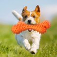 thumbnail image 4 of Dog Teeth Cleaning Toy - Interactive Bone Pet Toothbrush Toy Puppy Teething Toy, 4 of 7