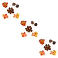 thumbnail image 1 of Toystoory 50 piezas de decoraciones de Halloween, suministros de fiesta para celebración espeluznante, decoración de boda, 166 Uds. Type1 NO1, 1 of 6