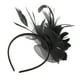 thumbnail image 1 of Elegante tocado accesorio para el cabello diadema con plumas tocado de novia Negro, 1 of 9