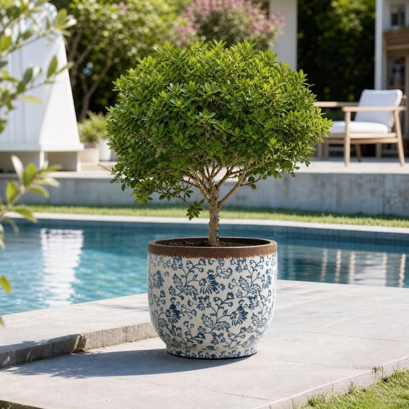 Haven Crest 15.6-Inch Blue White Floral Pot, Drainage