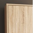 thumbnail image 6 of Sauder North Avenue Engineered Wood Storage Cabinet in Charter Oak Finish, 6 of 10