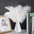 thumbnail image 3 of Ostrich Feathers Decoration Soft Comfortable Touch 35x10x1cm White Ostrich Feathers For Party Home, 3 of 5