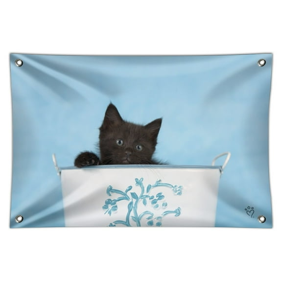 Black Kitten Cat in Bucket Tin Pail Home Business Office Sign