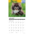 thumbnail image 3 of Willow Creek Press, Just Kittens 2025 Wall Calendar, 3 of 4