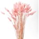 thumbnail image 1 of Flores secas naturales, 60 unidades, tallos de hierba de pampa seca, plantas de hierba de cola de conejo para centros de mesa de boda, arreglos florales, corona de Navidad, decoración del hogar Ormromra LRWJ096-1, 1 of 7