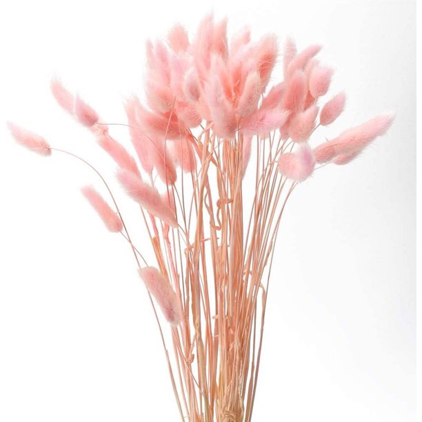 Flores secas naturales, 60 unidades, tallos de hierba de pampa seca, plantas de hierba de cola de conejo para centros de mesa de boda, arreglos florales, corona de Navidad, decoración del hogar Ormromra LRWJ096-1