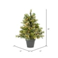 thumbnail image 2 of Árbol de Navidad Vickerman 24" Pino Cashmere con luces LED blancas cálidas, 2 of 3