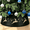 BLACK, variant on WISD Christmas Tree Collar, Adjustable 9-Panel Tree Stand Cover, Gold Glitter Hollow Reindeer Design, Foldable Plastic Christmas Tree Skirt Alternative for 4-7ft Trees, White