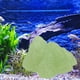 thumbnail image 5 of Piedra de rocalla brillante oscura para acuario, plantas de jardín, bonsái, peces, tortugas, Ta 86 cm x 6 cm x 46 cm, 5 of 7