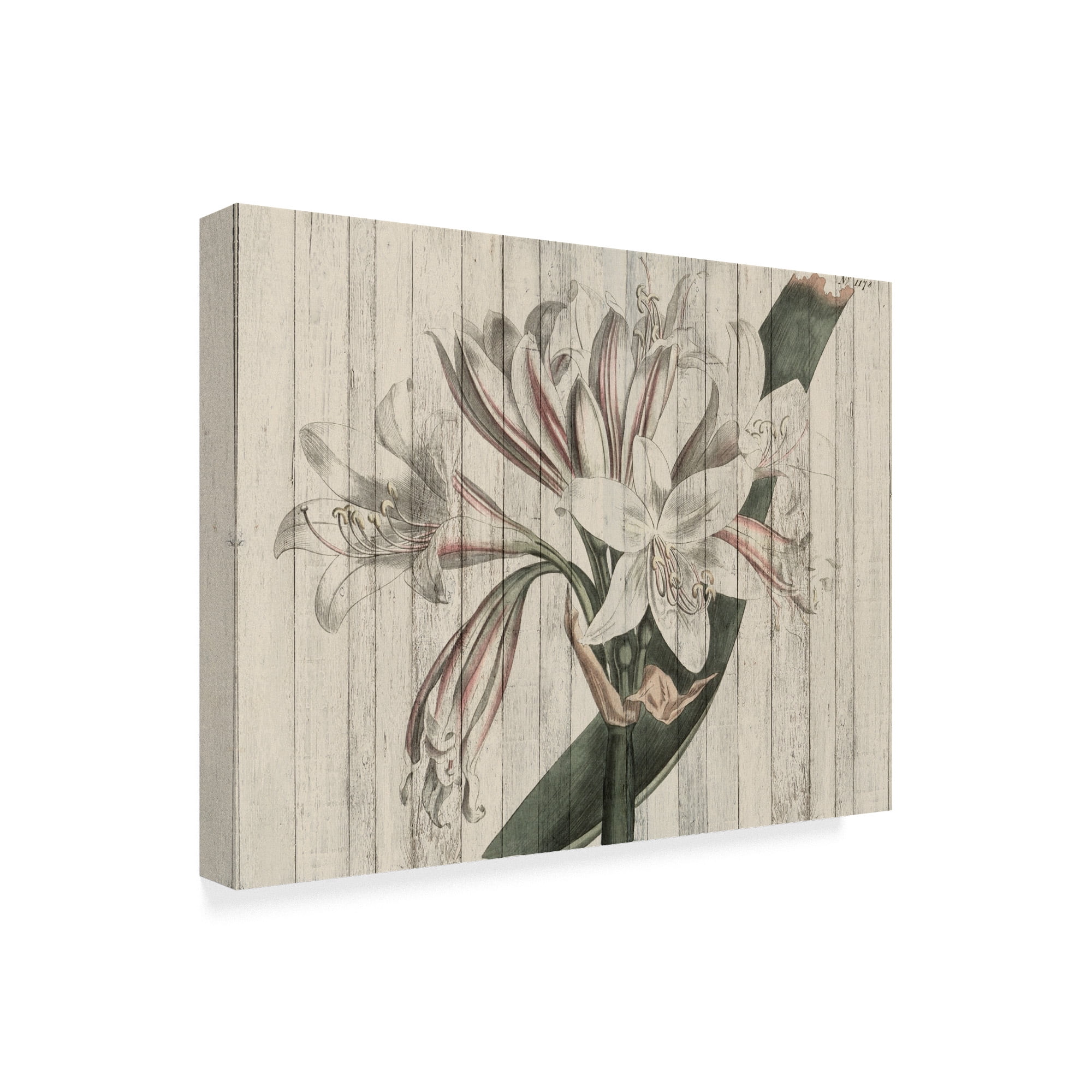 Trademark Fine Art 'Rustic Floral II' Canvas Art by Studio W