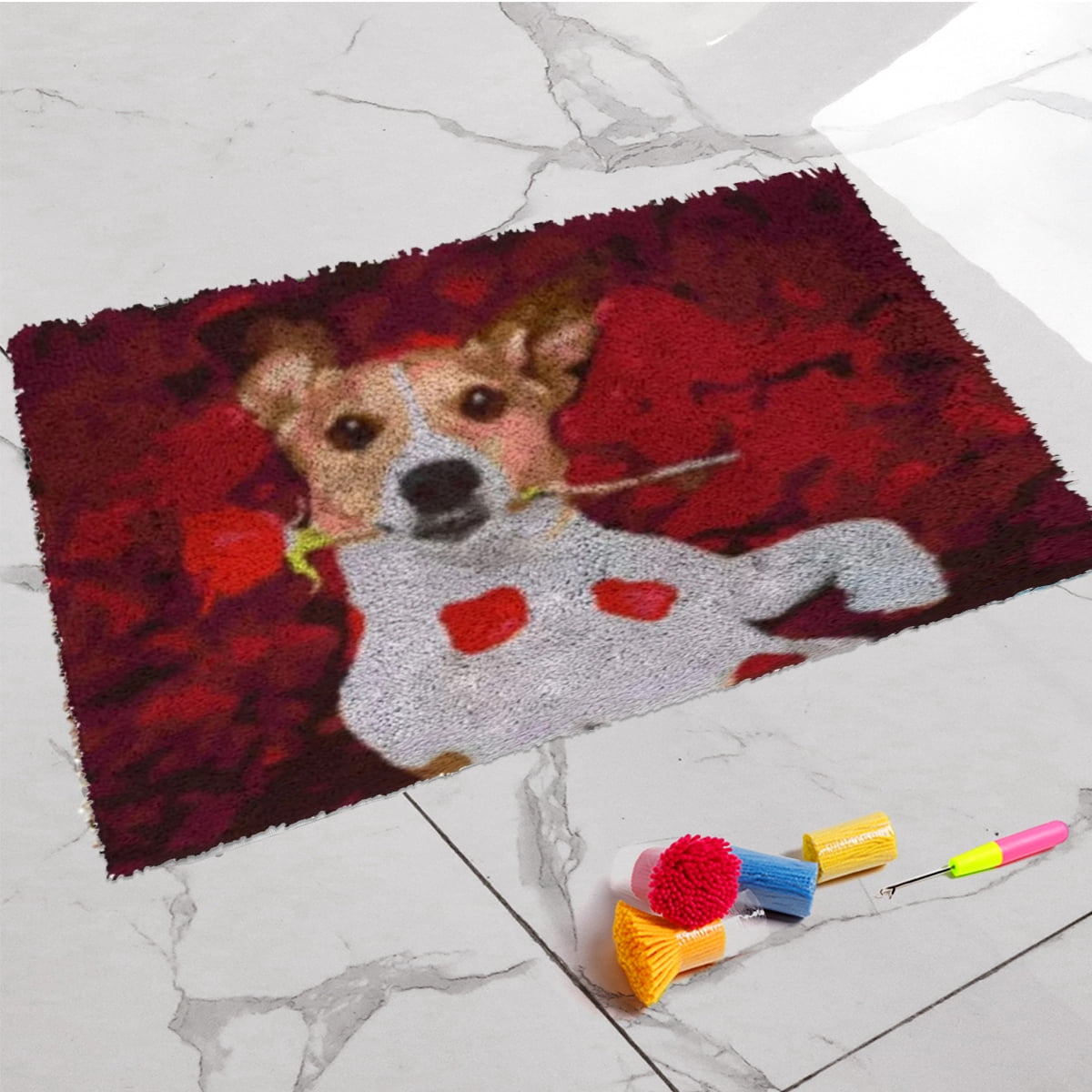 Latch Hook Kits for Adults - DIY Latch Hook Rug Kits for Kids, Crochet Kit for Beginners, Rug Making Kits with Printed Canvas, Gift Packaging