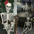 thumbnail image 1 of Halloween Human Skeleton Extra Large Movable Natural Decorative Party Prop, 1 of 5