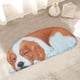 thumbnail image 4 of Alfombras de baño, alfombra 3D con temática de perro, felpudo de bienvenida de 87 x 40 cm, antideslizante, para verano, divertidas y novedosas, para decoración de interiores y exteriores., 4 of 6