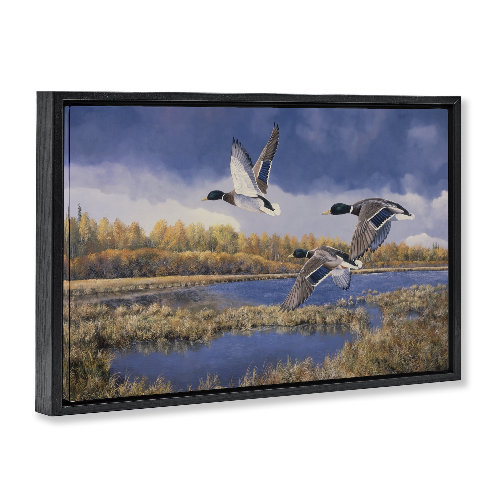 Stupell Industries Ducks Heading South Landscape & Nature Painting Black Floater Framed Canvas Art Print Wall Art, 31 x 21