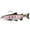Red, variant on Soft Fishing Tackle Jig Head Trout Design with Hooks for Freshwater and Saltwater Fishing 4.7 Inches Red