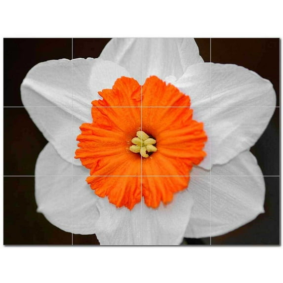 Flowers Ceramic Tile Mural Kitchen Backsplash Bathroom Shower 402434-S43