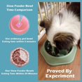 thumbnail image 3 of Comedero lento para perros Cuenco antideslizante para mascotas Patrón de hueso duradero Comedero para perros antichoque Diseño saludable Cuenco para lamer perros para alimentación interactiva Peq, 3 of 5