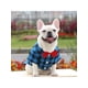 thumbnail image 1 of 1pc Polyester Checked Collar Bow Shirt Suit Wedding Dress For Large, Medium, Small Pets, 1 of 5