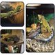 thumbnail image 1 of Hamaca de lagarto, decoración de hábitat de reptiles, alfombrilla de lagarto con ventosas, hamaca de dragón barbudo, simula el entorno de rastreo al aire libre, para lagartos, serpientes, camaleones, gecos ZefeiWu 9024735315285, 1 of 1