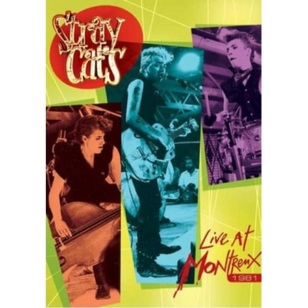 Montreux Swivel - STRAY CATS-LIVE AT MONTREUX 1981 (DVD) (DVD)