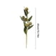 thumbnail image 3 of Bola de Crisantemo Artificial | Decoración Floral Verde Artificial de Plástico de 40 Cm | Tallos Flexibles | Centro de Mesa para Bodas | Corona Navideña para Repisa, 3 of 6
