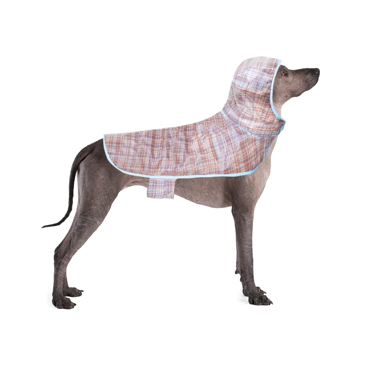 Packed Party Raincoat for Dogs, Grid, XL