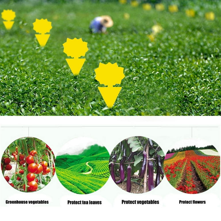 10pcs Waterproof Fly Traps Bugs Sticky Board Insects Pest Killer