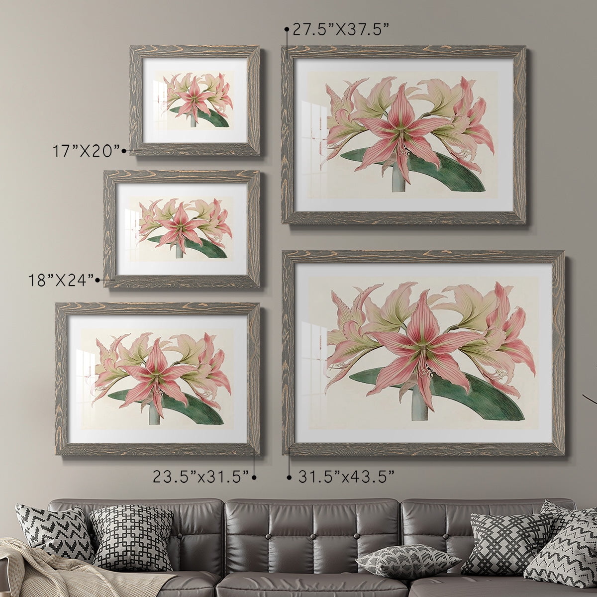 Amaryllis Varietals I-Premium Framed Print - Ready to Hang