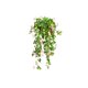 thumbnail image 1 of Plantas colgantes artificiales en maceta, vegetación artificial for oficina, sala de estar, baño, interior y exterior., 1 of 3