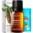 thumbnail image 1 of Aceite esencial Gya Labs de abeto plateado 10 mL para cabello, piel y aromaterapia, 1 of 6