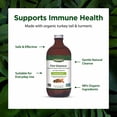 thumbnail image 4 of Flora Health Flor-Essence with Turkey Tail & Turmeric, Rich in Polysaccharides, 35+ Phenolic Compounds with Antioxidants and Immunity Support, 17-fl. oz. Glass Bottle, 4 of 7