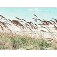 thumbnail image 2 of Bonnett, Stede 14x12 Black Ornate Wood Framed with Double Matting Museum Art Print Titled - Eastern Beach Grass II, 2 of 4