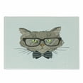 thumbnail image 1 of Geek Cutting Board, Portrait Drawing of a Cat with Bowtie and Glassess with Urban Style Hipster Look Theme, Decorative Tempered Glass Cutting and Serving Board, Small Size, Multicolor, by Ambesonne, 1 of 1