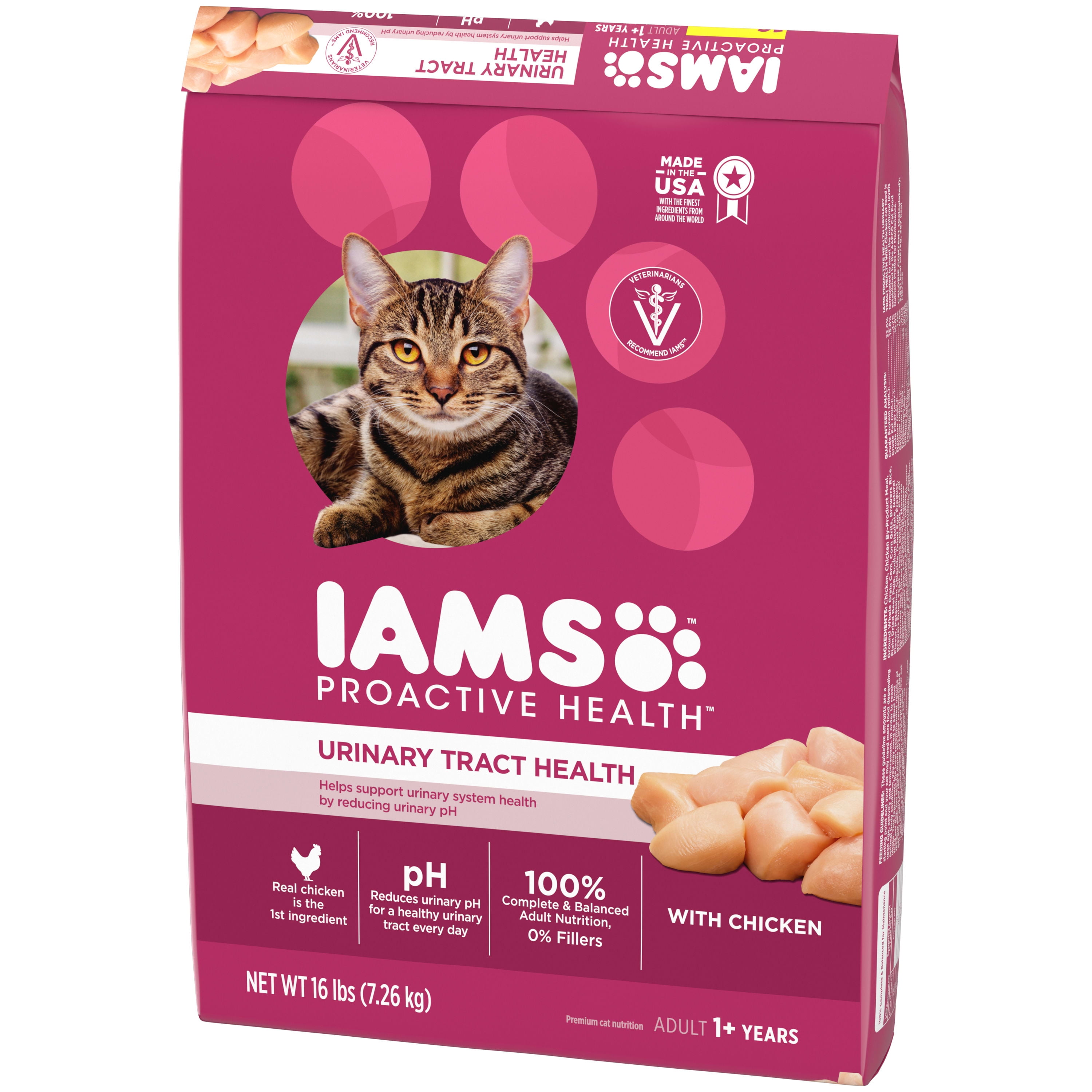 Can Dogs Eat Iams Dry Cat Food can-dogs-eat-iams-dry-cat-food