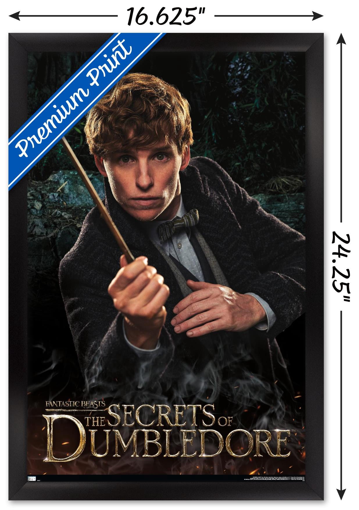 Fantastic Beasts: The Secrets of Dumbledore - Newt Wall Poster, 14.725" x 22.375" Framed